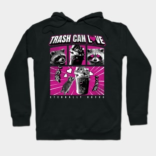 Trash Can Love Funny Raccoon Hoodie